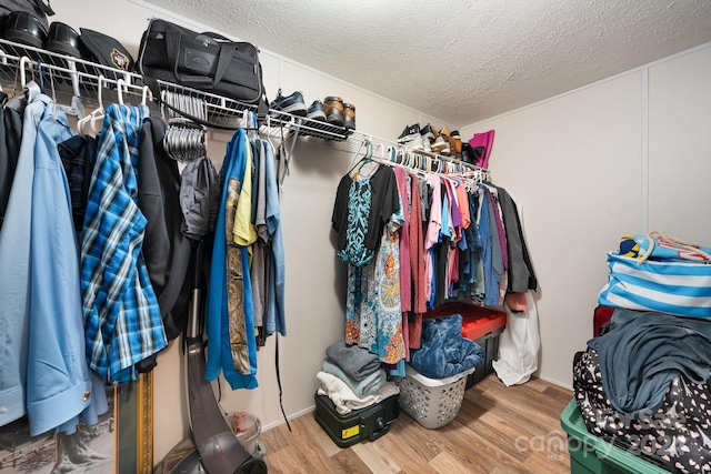 walk in closet with wood-type flooring