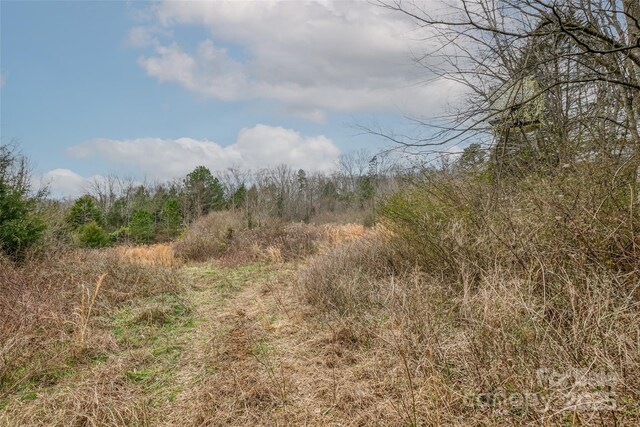 3112 Hasty Rd, Marshville, NC 28103 - photo 29