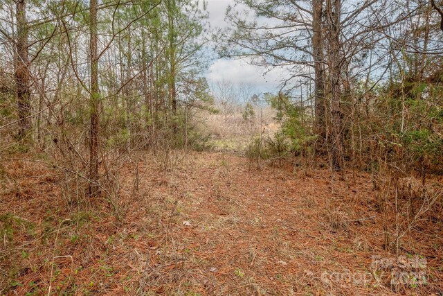 3112 Hasty Rd, Marshville, NC 28103 - photo 31