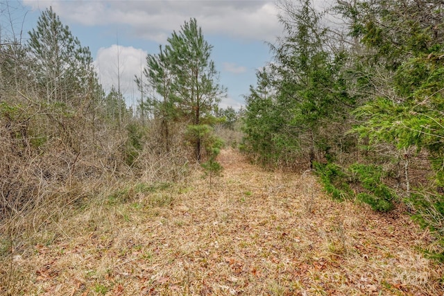 3112 Hasty Rd, Marshville, NC 28103 - photo 32