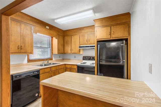 kitchen with dishwasher, fridge, white electric range, light hardwood / wood-style flooring, and sink