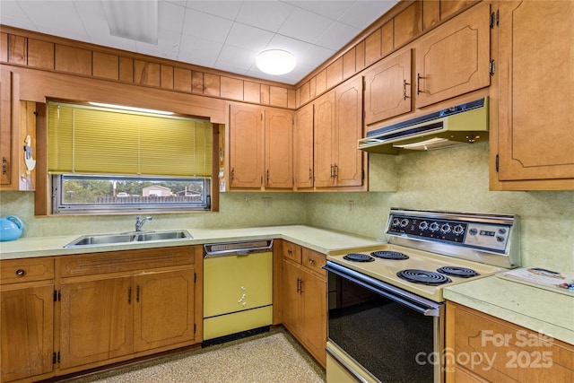 kitchen featuring sink, decorative backsplash, range with electric cooktop, and dishwasher