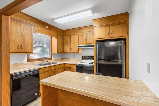 kitchen featuring ventilation hood, sink, and black appliances