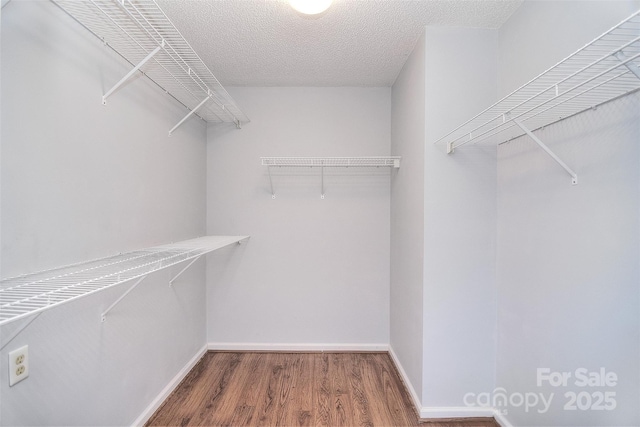 spacious closet with wood finished floors