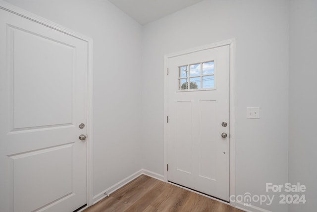 entryway with wood-type flooring