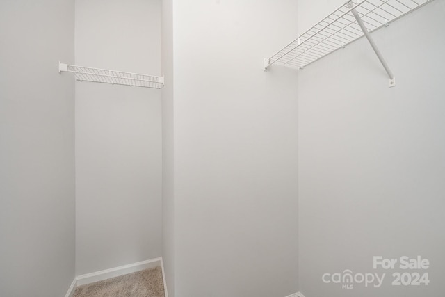 spacious closet featuring carpet flooring