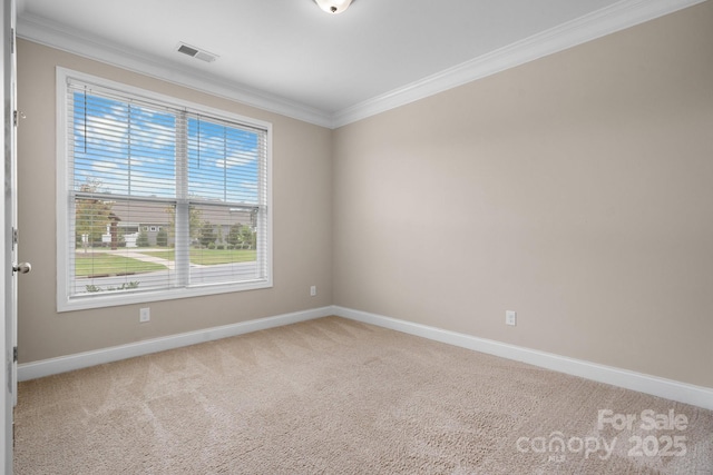 carpeted spare room featuring crown molding