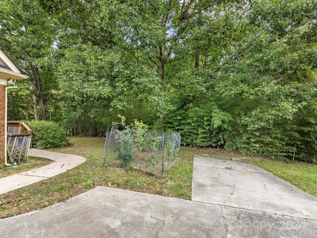 view of yard with a patio