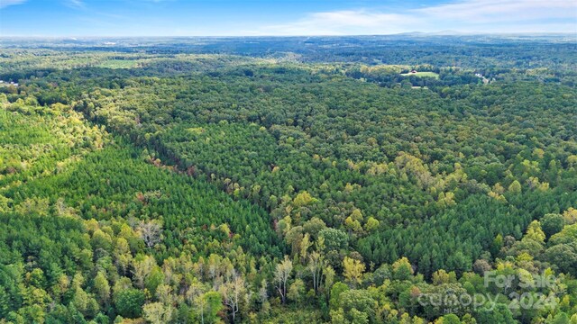 3662 Hickory Hwy, Statesville, NC 28677 - photo 4