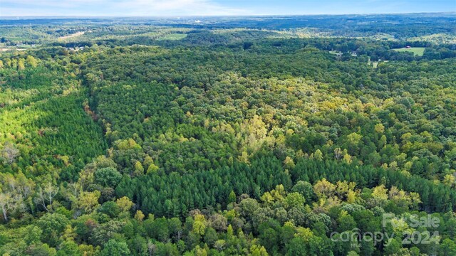 3662 Hickory Hwy, Statesville, NC 28677 - photo 5