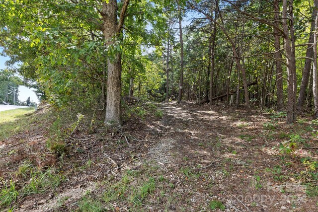 3662 Hickory Hwy, Statesville, NC 28677 - photo 11
