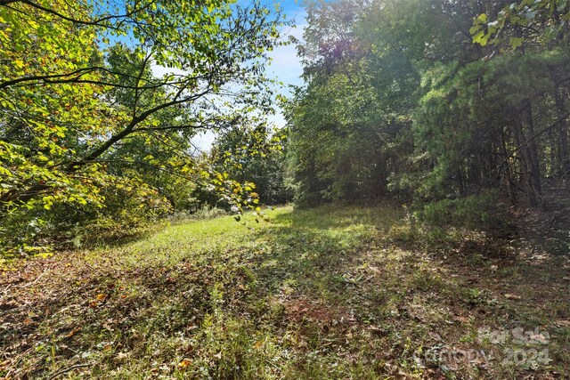 3662 Hickory Hwy, Statesville, NC 28677 - photo 12