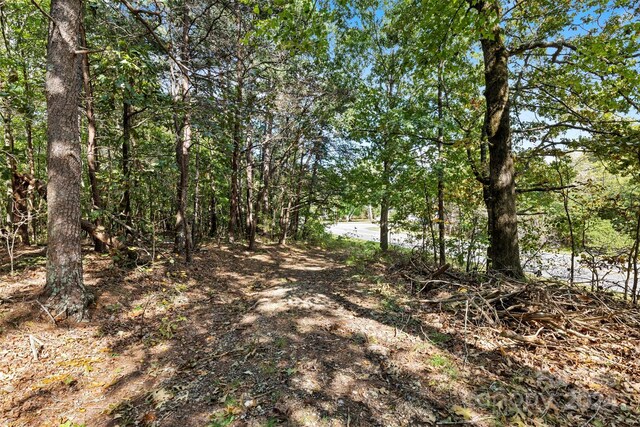 3662 Hickory Hwy, Statesville, NC 28677 - photo 16