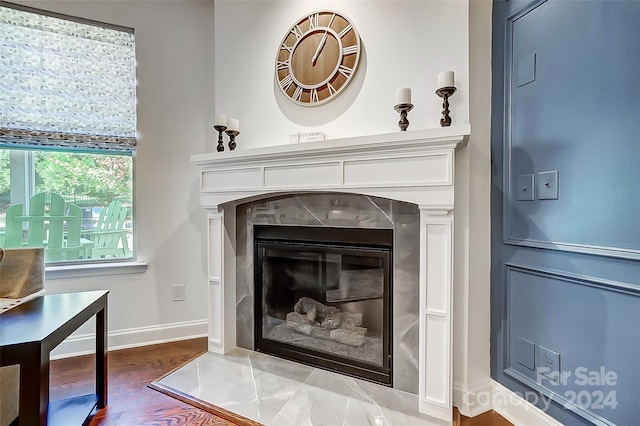 room details featuring a premium fireplace and hardwood / wood-style flooring