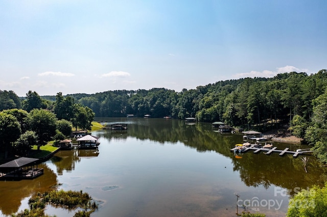 6092 Plantation Pointe Dr Unit 79, Granite Falls, NC 28630 - photo 11