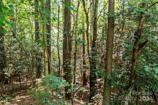 6092 Plantation Pointe Dr Unit 79, Granite Falls, NC 28630 - photo 27