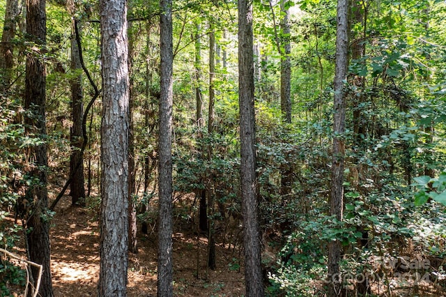6092 Plantation Pointe Dr Unit 79, Granite Falls, NC 28630 - photo 28