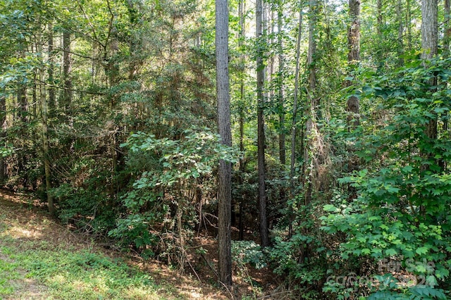 6092 Plantation Pointe Dr Unit 79, Granite Falls, NC 28630 - photo 29