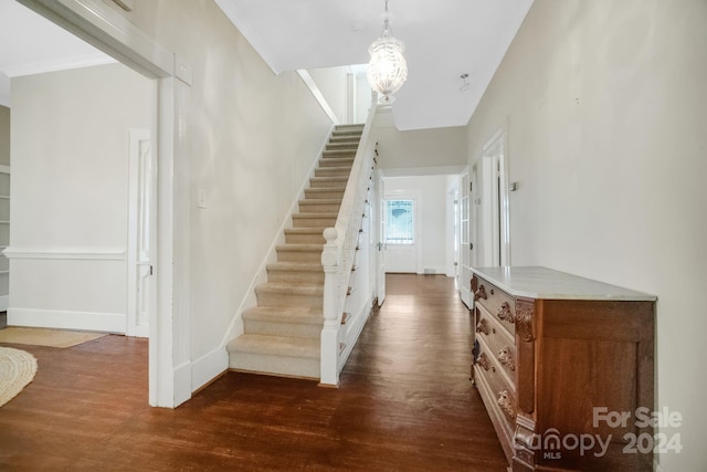 stairs featuring ornamental molding and hardwood / wood-style floors