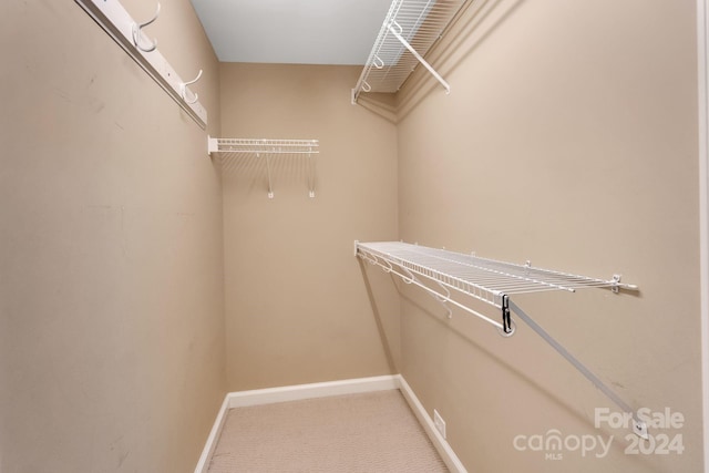 spacious closet featuring carpet floors