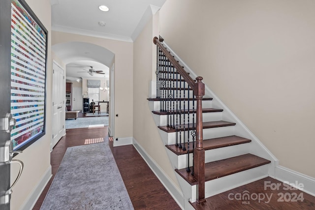 stairs with wood-type flooring and ceiling fan