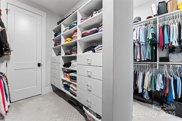 spacious closet with light colored carpet