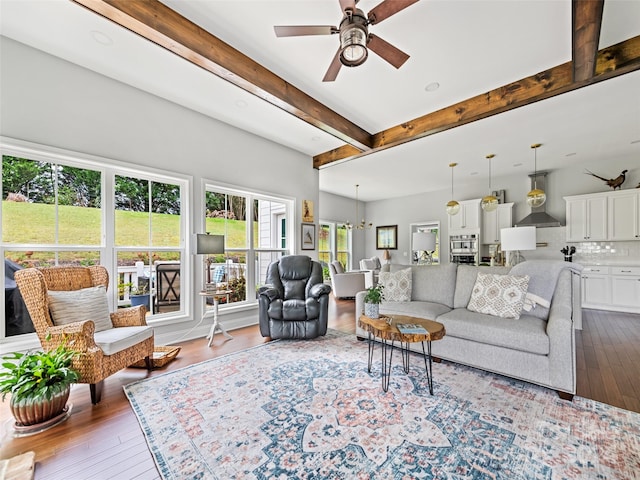 living room featuring beamed ceiling, hardwood / wood-style floors, and ceiling fan with notable chandelier