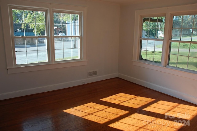 spare room featuring dark hardwood / wood-style floors and a wealth of natural light