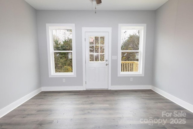 interior space with hardwood / wood-style floors and ceiling fan