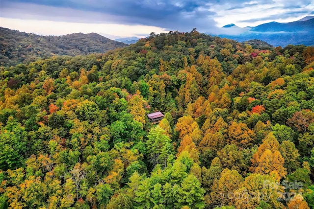 bird's eye view with a mountain view