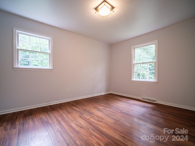 spare room featuring dark wood-type flooring and a wealth of natural light