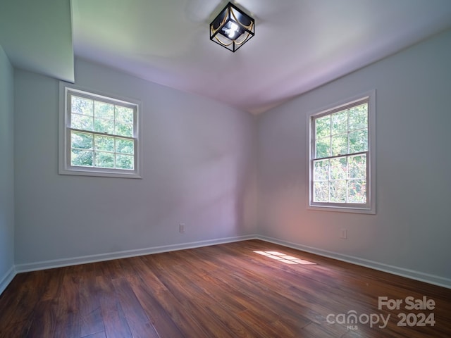 empty room featuring a healthy amount of sunlight and dark wood-type flooring