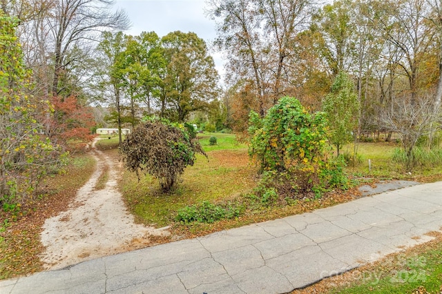 2436 Campbell Lake Rd, Lancaster, SC 29720 - photo 11