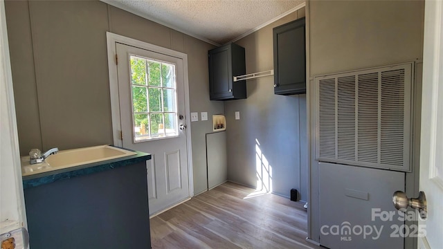 doorway featuring ornamental molding, sink, light hardwood / wood-style floors, and a textured ceiling