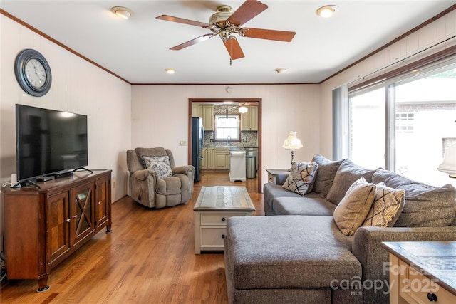 living room with sink, crown molding, ceiling fan, and light wood-type flooring