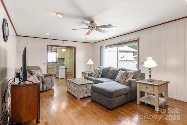 living room with ceiling fan, crown molding, sink, and light wood-type flooring