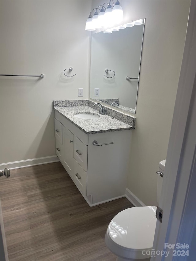 bathroom with wood-type flooring, vanity, and toilet