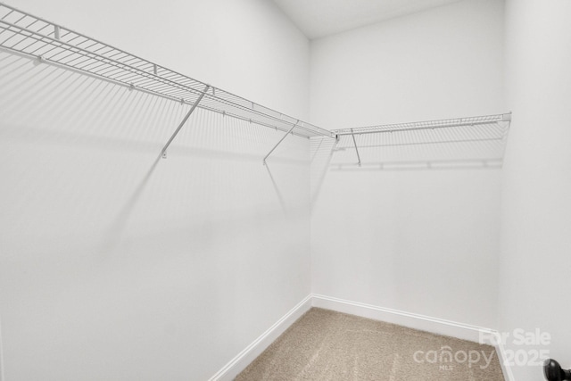 602 Meadow St, Spencer, NC 28159 - walk in closet featuring light colored carpet