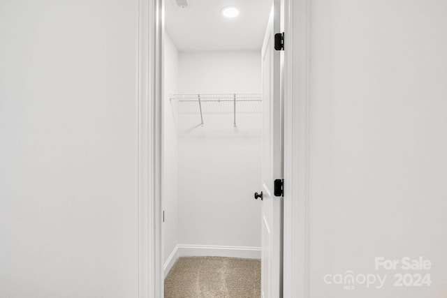 spacious closet with carpet flooring