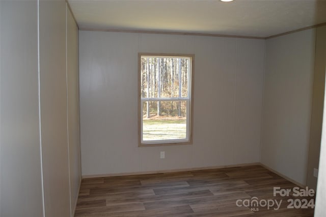 spare room with dark wood-type flooring