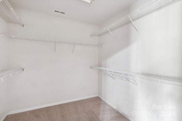 spacious closet featuring carpet floors