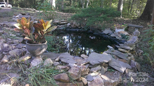 details featuring a small pond