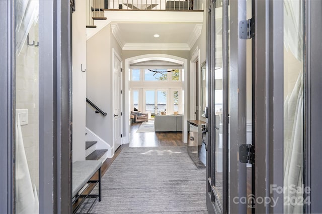 entrance foyer featuring dark hardwood / wood-style floors and crown molding