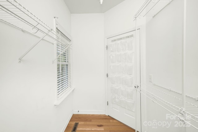 spacious closet with wood-type flooring