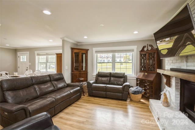 living room with a fireplace, ornamental molding, light hardwood / wood-style floors, and a healthy amount of sunlight