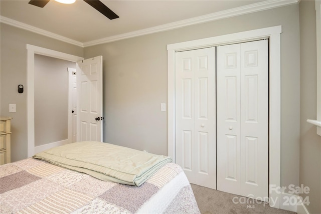 carpeted bedroom with ceiling fan, ornamental molding, and a closet