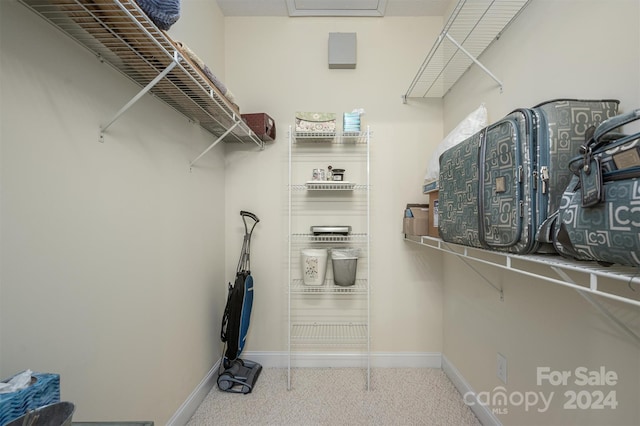 walk in closet featuring carpet floors