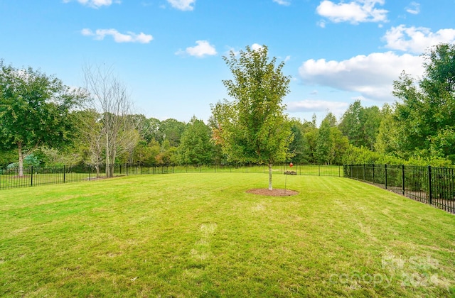 view of yard featuring a rural view