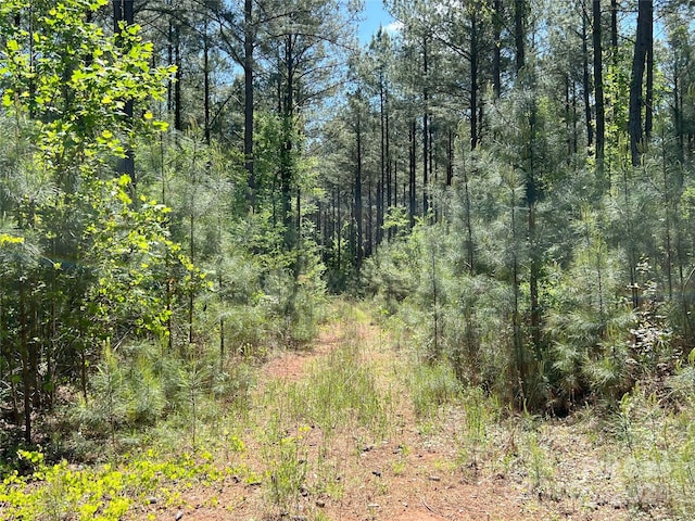 01 Hollis Rd, Ellenboro, NC 28040