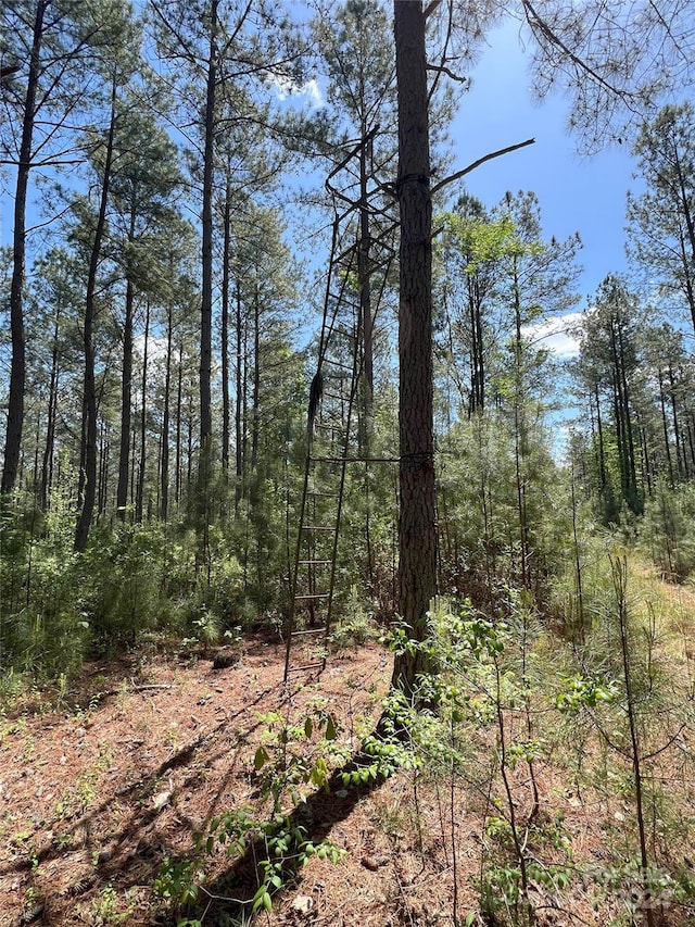 01 Hollis Rd, Ellenboro, NC 28040